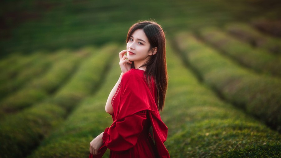 XCSEO增加某词SEO排名的实用策略与技巧