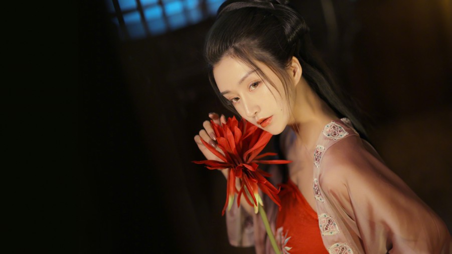 XCSEO云南seo优化公司排名指南如何选择最适合的SEO服务